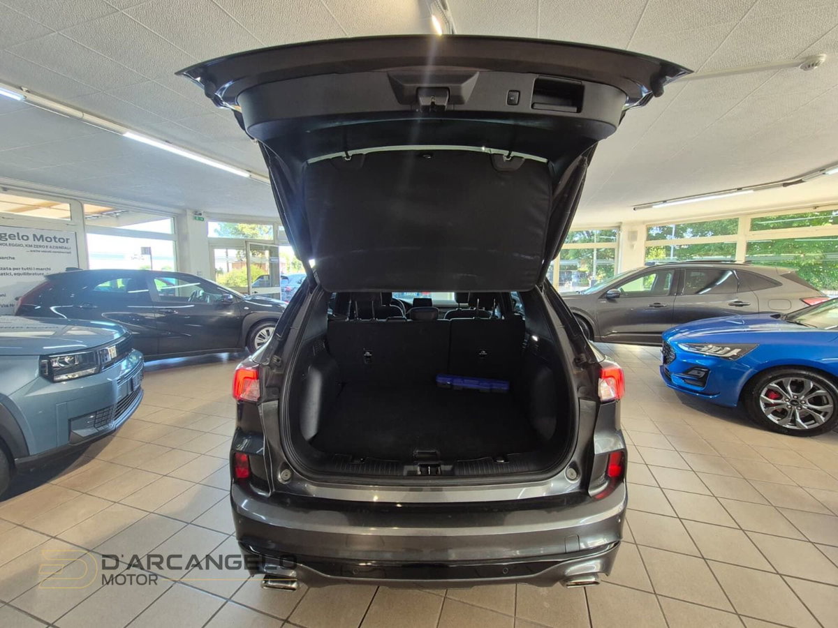 Ford Kuga 1.5 EcoBlue 120 CV 2WD ST-Line (9)