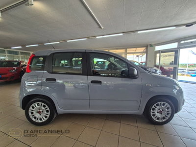 Fiat Panda Cross Cross 1.0 FireFly S&S Hybrid (4)