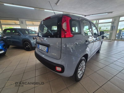 Fiat Panda Cross Cross 1.0 FireFly S&S Hybrid (5)
