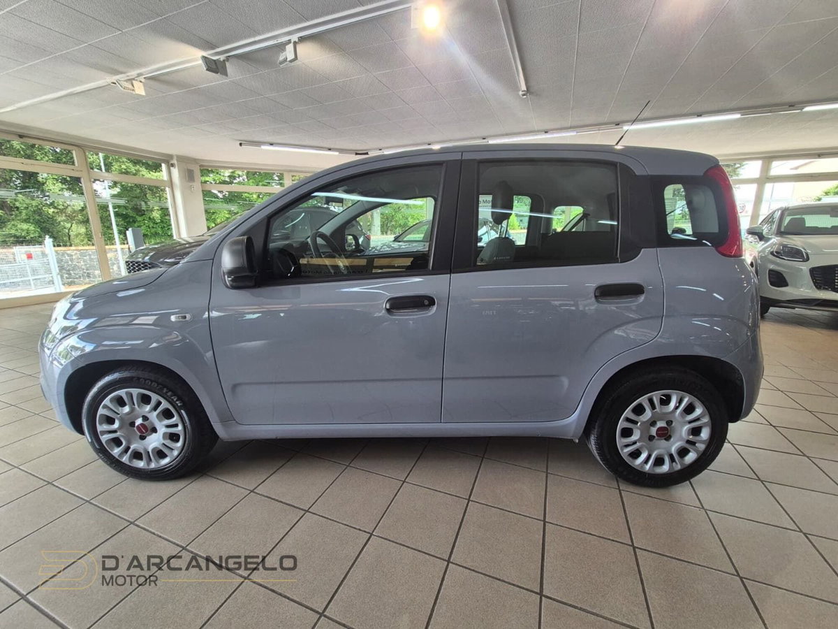 Fiat Panda Cross Cross 1.0 FireFly S&S Hybrid (8)