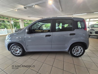 Fiat Panda Cross Cross 1.0 FireFly S&S Hybrid (8)