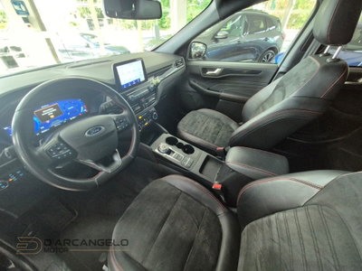 Ford Kuga 2.0 EcoBlue 120 CV aut. 2WD ST-Line X (15)