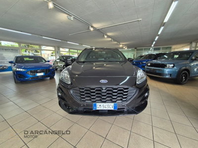 Ford Kuga 2.0 EcoBlue 120 CV aut. 2WD ST-Line X (2)