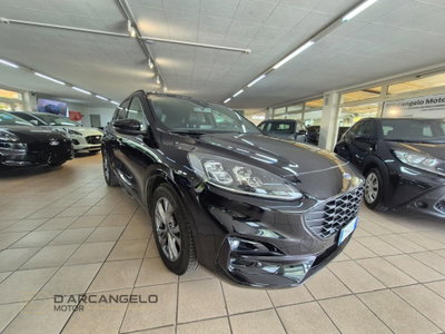 Ford Kuga 2.0 EcoBlue 120 CV aut. 2WD ST-Line X (3)