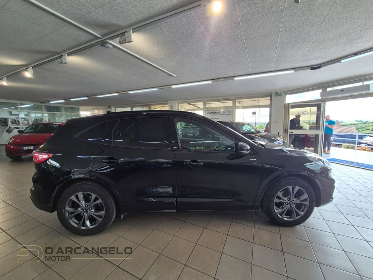 Ford Kuga 2.0 EcoBlue 120 CV aut. 2WD ST-Line X (5)