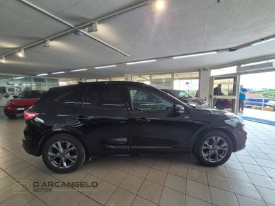 Ford Kuga 2.0 EcoBlue 120 CV aut. 2WD ST-Line X (5)