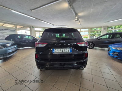 Ford Kuga 2.0 EcoBlue 120 CV aut. 2WD ST-Line X (6)