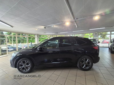 Ford Kuga 2.0 EcoBlue 120 CV aut. 2WD ST-Line X (7)