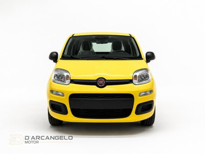 Fiat Pandina 1.0 firefly hybrid Icon s&s 65cv (2)