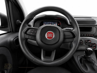 Fiat Pandina 1.0 firefly hybrid Icon s&s 65cv (20)