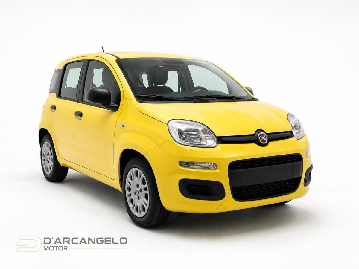 Fiat Pandina 1.0 firefly hybrid Icon s&s 65cv (3)