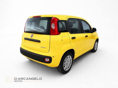 Fiat Pandina 1.0 firefly hybrid Icon s&s 65cv (4)