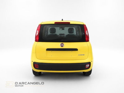 Fiat Pandina 1.0 firefly hybrid Icon s&s 65cv (5)
