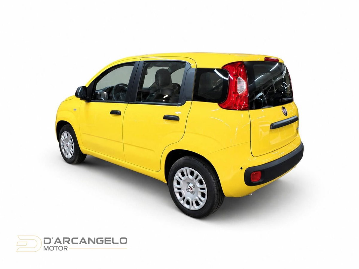 Fiat Pandina 1.0 firefly hybrid Icon s&s 65cv (6)