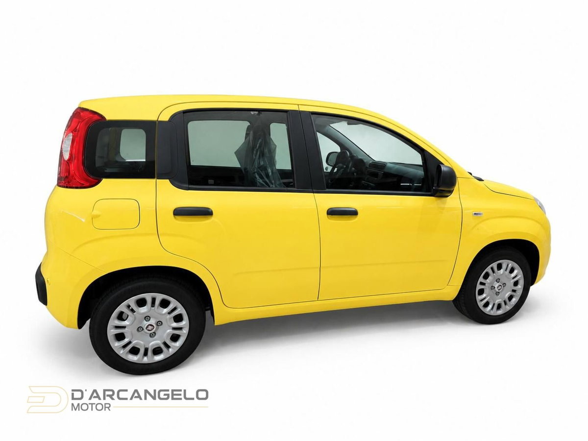 Fiat Pandina 1.0 firefly hybrid Icon s&s 65cv (8)