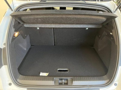 Renault Captur TCe 100 CV GPL Techno (11)