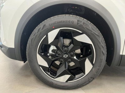 Renault Captur TCe 100 CV GPL Techno (5)