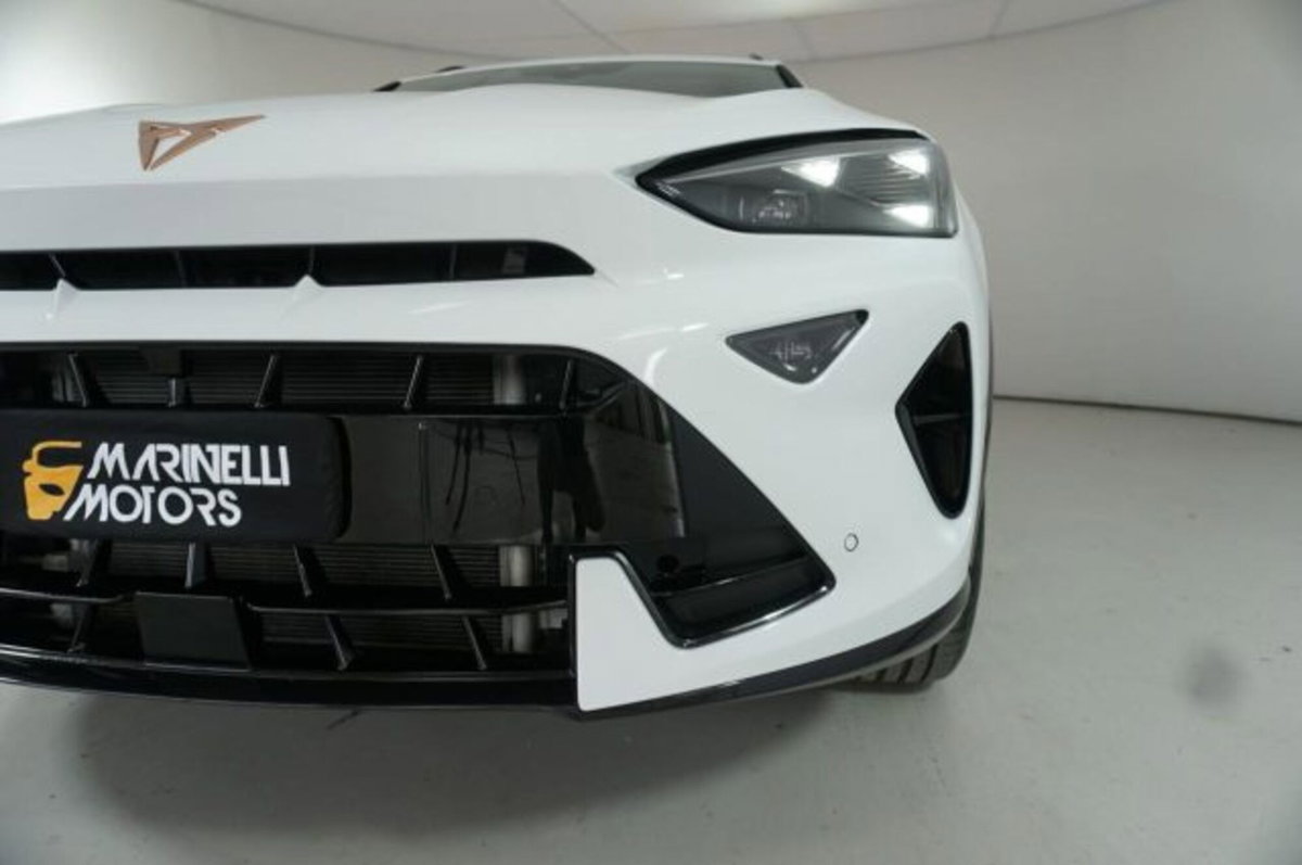 Cupra Formentor Formentor 1.5 TSI (17)