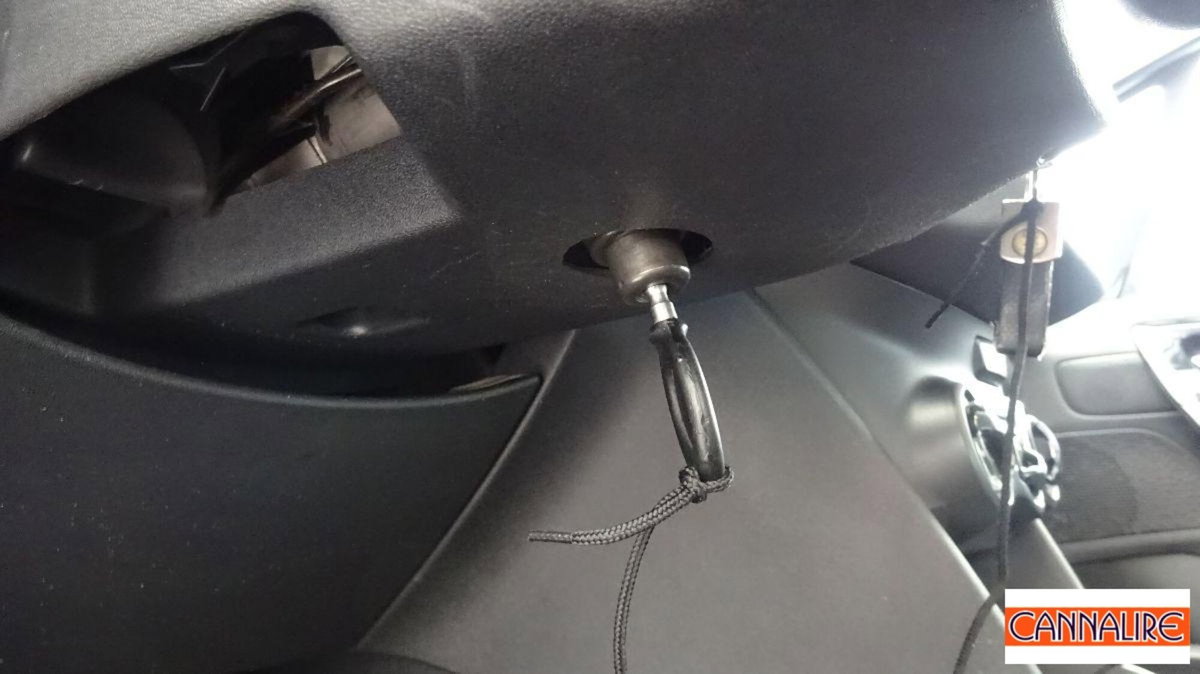 Peugeot 208 VTi 82 CV 5 porte Allure (10)