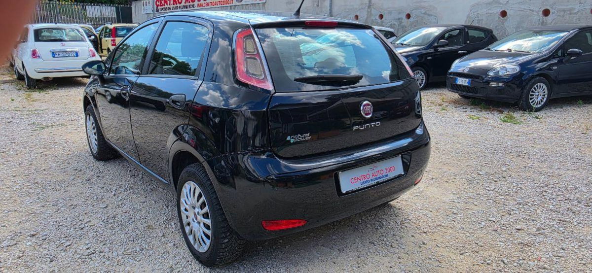 Fiat Punto 1.4 8V 5 porte Natural Power Lounge (5)