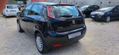 Fiat Punto 1.4 8V 5 porte Natural Power Lounge (5)