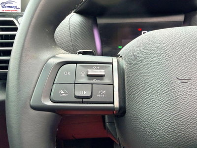 Citroen C4 1.5 bluehdi Max s&s 130cv eat8 (20)