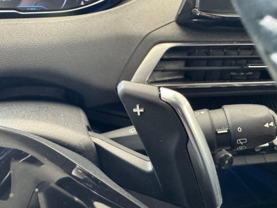Peugeot 3008 BlueHDi 130 S&S EAT8 Active Business (14)