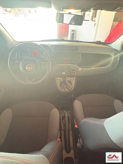 Fiat Panda 1.3 MJT S&S Trekking (6)