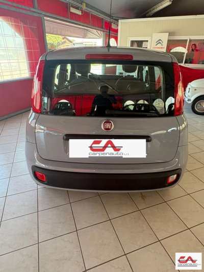 Fiat Panda 1.2 Easy (2)