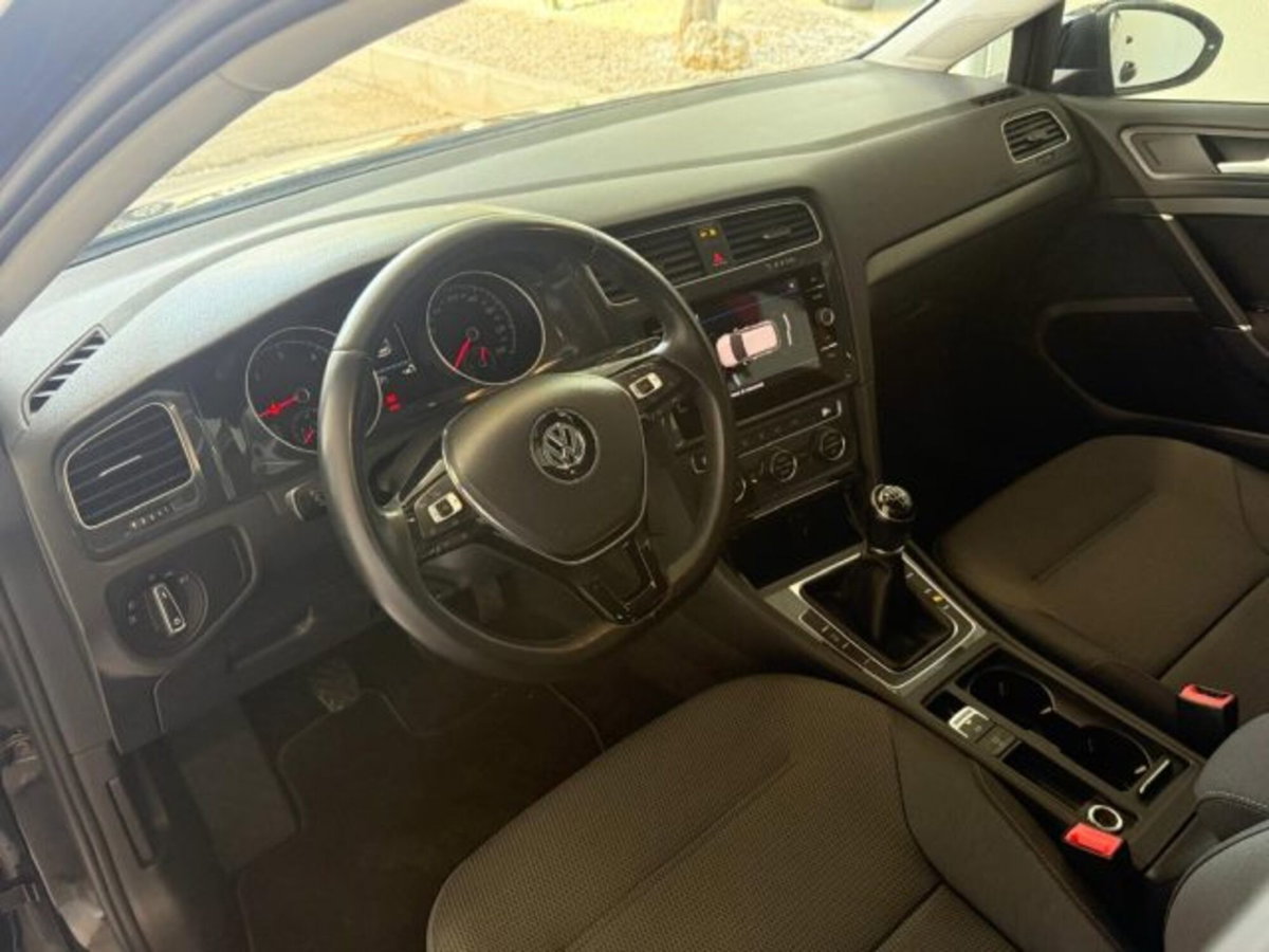 Volkswagen Golf 1.6 TDI 115 CV 5p. Business BlueMotion Technology (17)