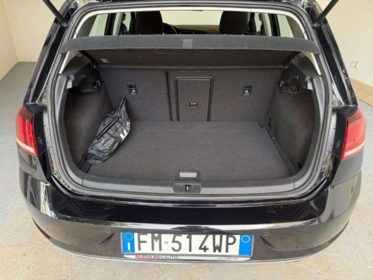 Volkswagen Golf 1.6 TDI 115 CV 5p. Business BlueMotion Technology (8)