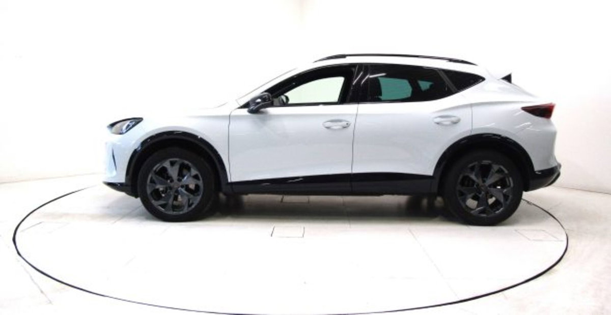 Cupra Formentor 1.5 hybrid 150cv dsg (15)