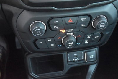 Jeep Renegade 1.6 Mjt 120 CV Limited (12)