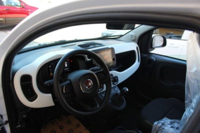 Fiat Panda Cross 1.0 firefly hybrid Cross s&s 70cv 5p.ti (6)