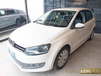 Volkswagen Polo 1.2 70 CV 5p. Comfortline (2)