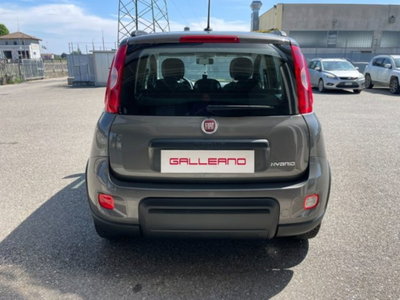 Fiat Panda 1.0 firefly hybrid s&s 70cv 5p.ti (3)