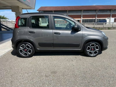 Fiat Panda 1.0 firefly hybrid s&s 70cv 5p.ti (4)