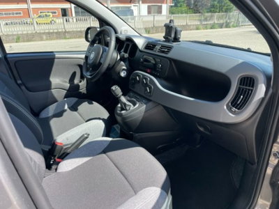 Fiat Panda 1.0 firefly hybrid s&s 70cv 5p.ti (6)