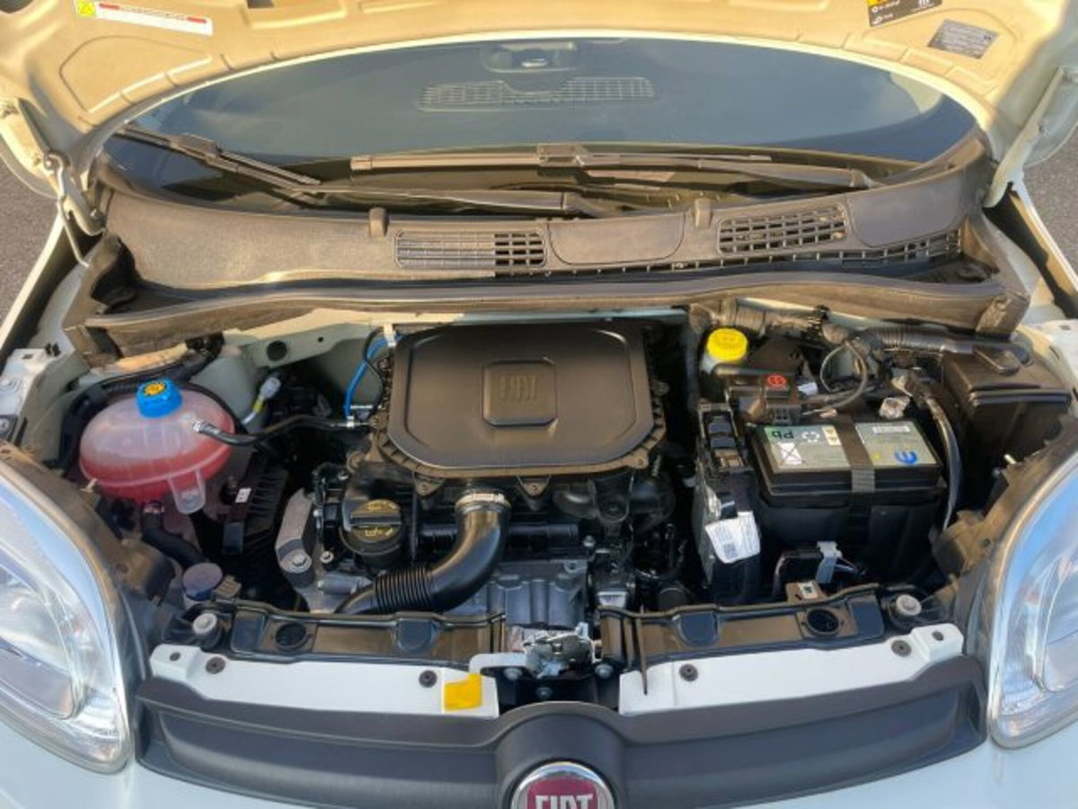 Fiat Panda 1.0 firefly hybrid s&s 70cv 5p.ti (16)