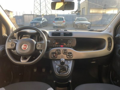 Fiat Panda 1.0 firefly hybrid s&s 70cv 5p.ti (5)