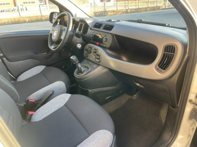 Fiat Panda 1.0 firefly hybrid s&s 70cv 5p.ti (6)