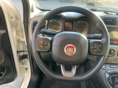 Fiat Panda 1.0 firefly hybrid s&s 70cv 5p.ti (7)