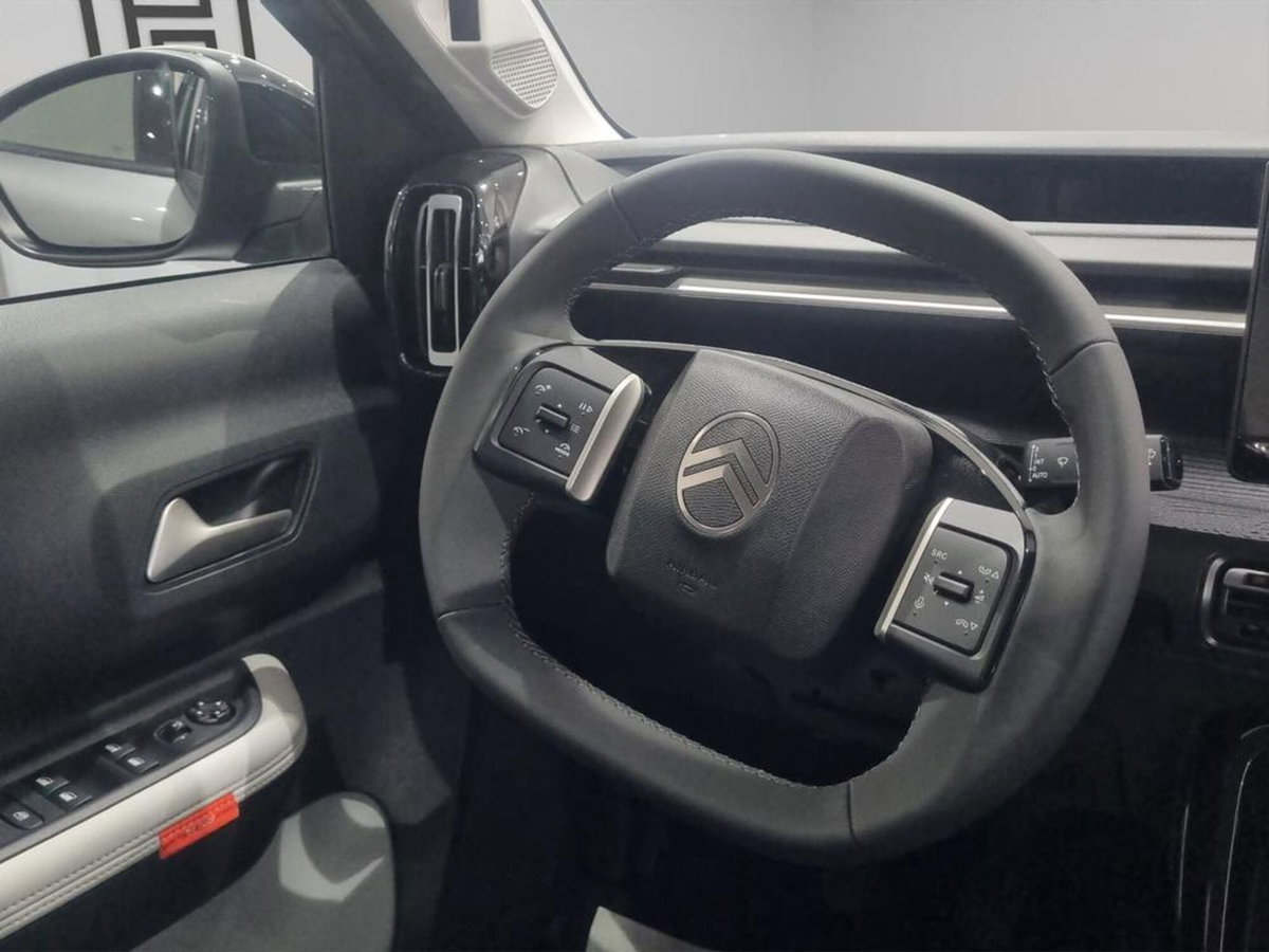 Citroen C3 1.2 puretech turbo Max 100cv s&s (10)
