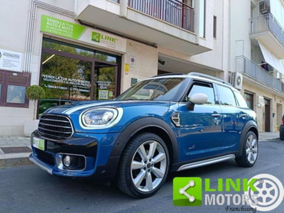 MINI Mini Countryman 2.0 Cooper D Countryman ALL4 (8)