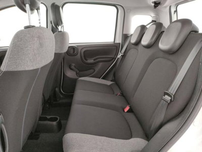 Fiat Panda 1.0 firefly hybrid s&s 70cv (11)