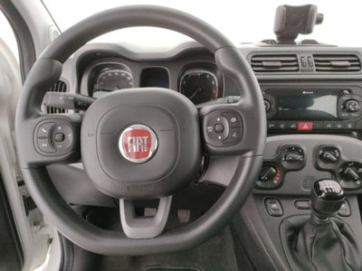 Fiat Panda 1.0 firefly hybrid s&s 70cv (8)