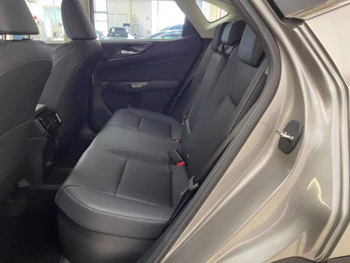 Lexus NX 350h 2.5 Luxury 4wd e-cvt (13)