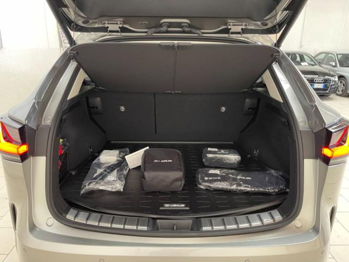 Lexus NX 350h 2.5 Luxury 4wd e-cvt (14)