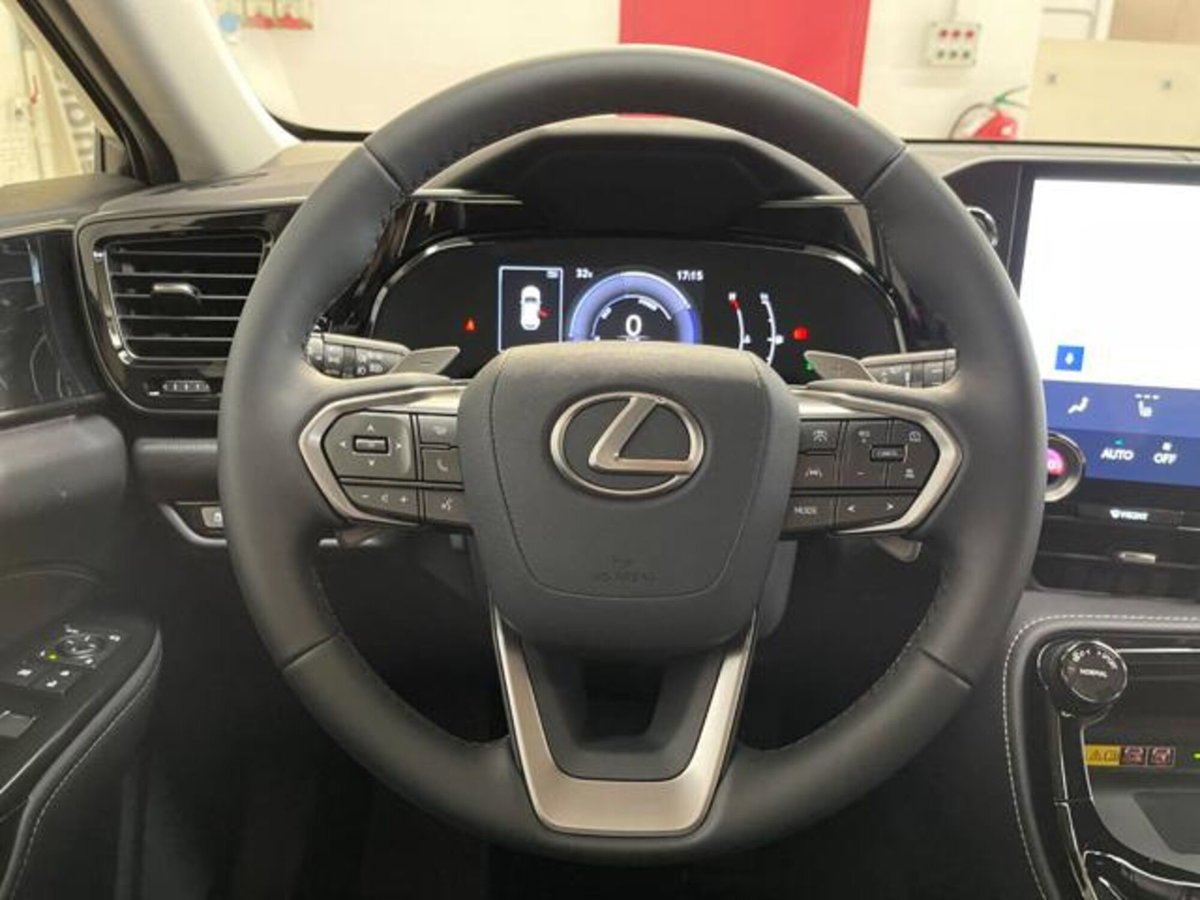 Lexus NX 350h 2.5 Luxury 4wd e-cvt (20)