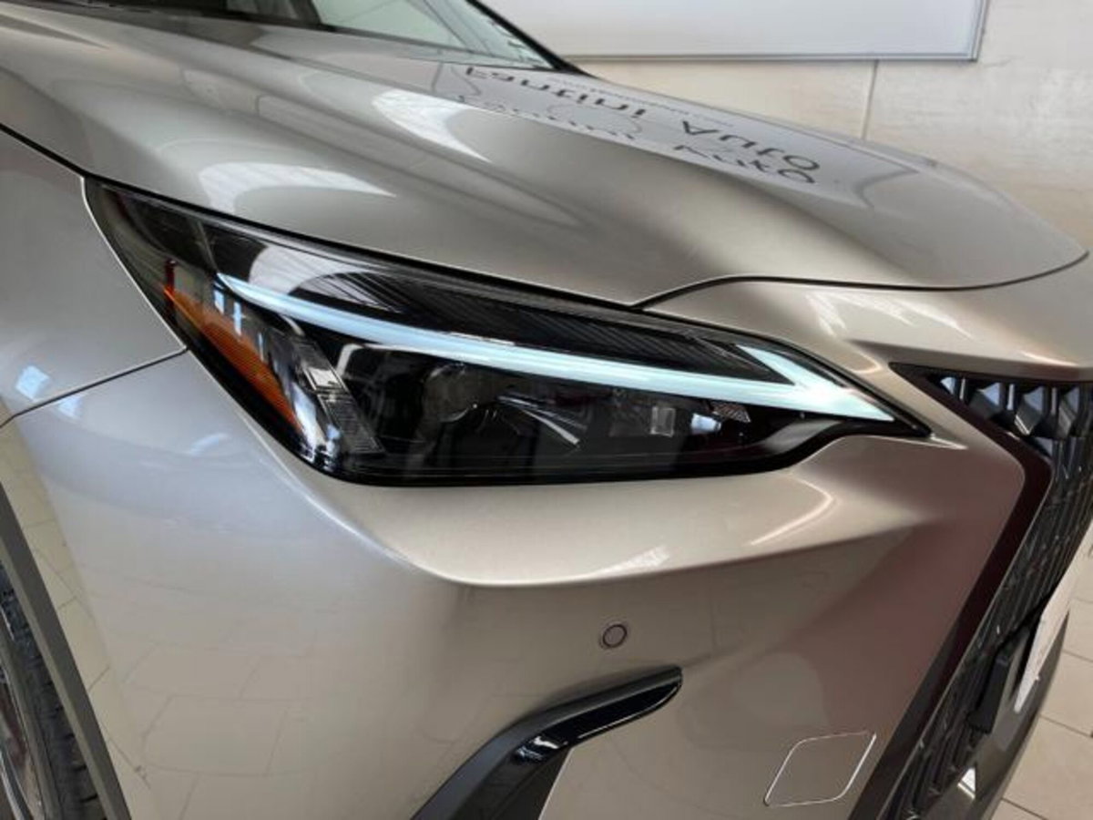 Lexus NX 350h 2.5 Luxury 4wd e-cvt (8)